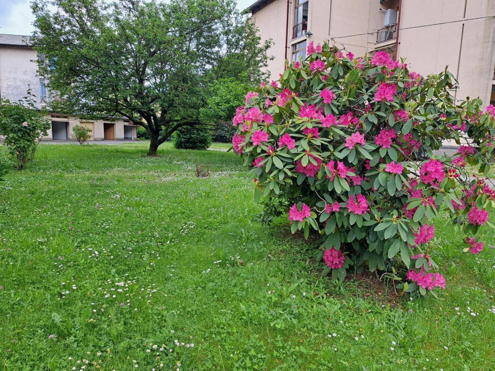 Seraval Valsesia Apartment Serravalle Sesia Eksteriør billede